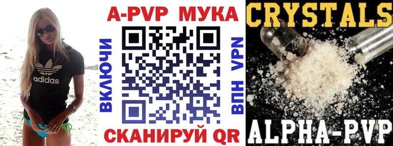 Купить закладки  Кингисепп  Alpha-PVP Crystall 