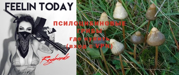 кокаин колумбия Ельня